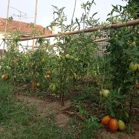 Eira Da Mila Holiday home *